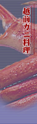 越前ガニ料理