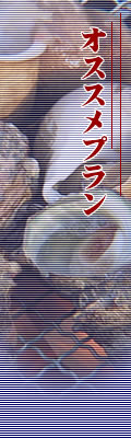 オススメプラン